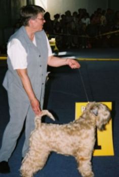 World Winner Dog 2003