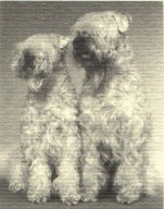 Finneen & Finnacan Brugh Na Boinne