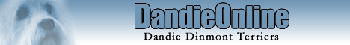 German Dandies