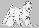 De Wheaten's