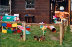Spielwiese