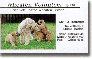 Vis-volunteer's